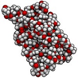 ein Makromolekül in Kalottendarstellung