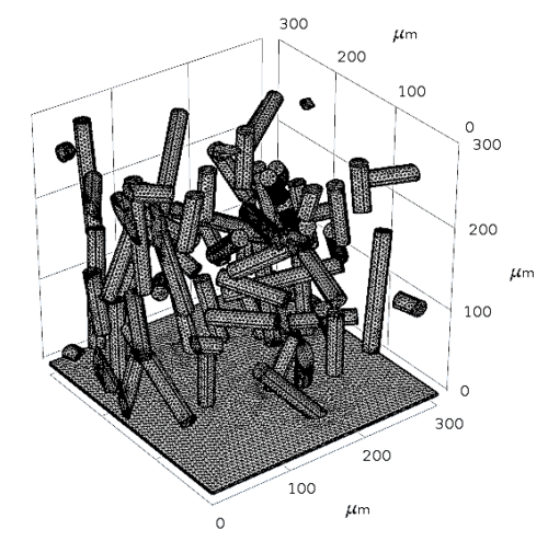 Zur Seite: Simulation